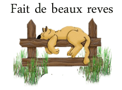 bonne nuit chat